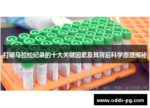 打破马拉松纪录的十大关键因素及其背后科学原理揭秘