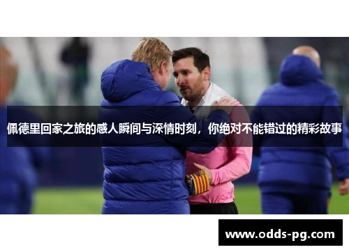 佩德里回家之旅的感人瞬间与深情时刻，你绝对不能错过的精彩故事
