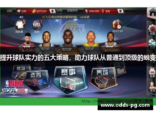 提升球队实力的五大策略，助力球队从普通到顶级的蜕变
