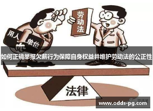 如何正确举报欠薪行为保障自身权益并维护劳动法的公正性