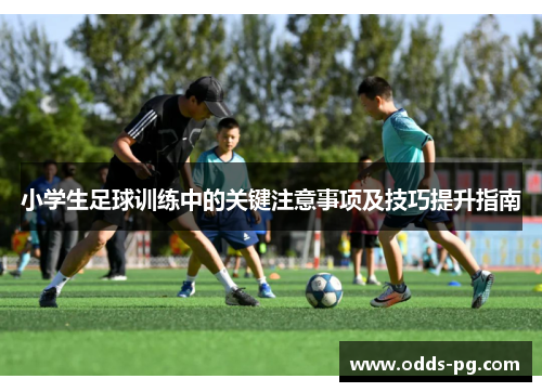 小学生足球训练中的关键注意事项及技巧提升指南