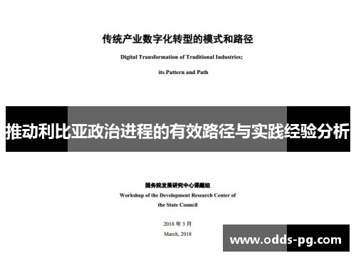 推动利比亚政治进程的有效路径与实践经验分析