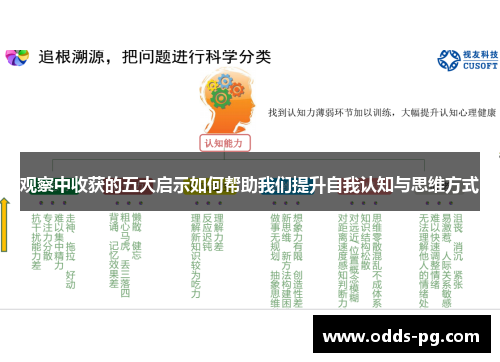 观察中收获的五大启示如何帮助我们提升自我认知与思维方式