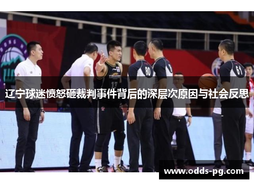 辽宁球迷愤怒砸裁判事件背后的深层次原因与社会反思