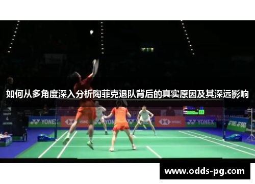 如何从多角度深入分析陶菲克退队背后的真实原因及其深远影响