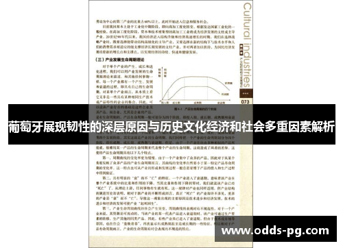 葡萄牙展现韧性的深层原因与历史文化经济和社会多重因素解析
