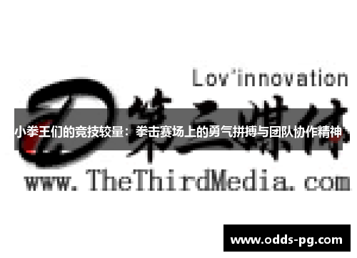 小拳王们的竞技较量：拳击赛场上的勇气拼搏与团队协作精神