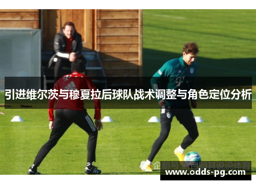 引进维尔茨与穆夏拉后球队战术调整与角色定位分析 引进维尔茨与穆夏拉后球队战术调整与角色定位分析