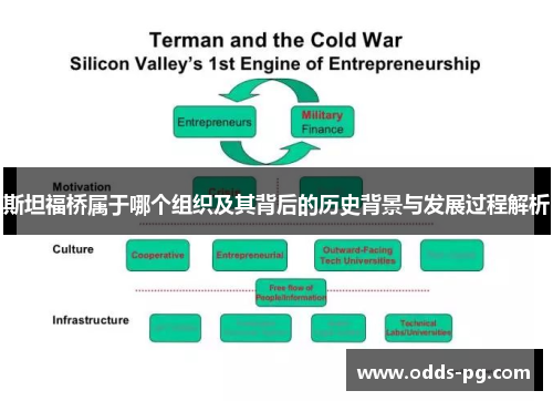 斯坦福桥属于哪个组织及其背后的历史背景与发展过程解析 斯坦福桥属于哪个组织及其背后的历史背景与发展过程解析