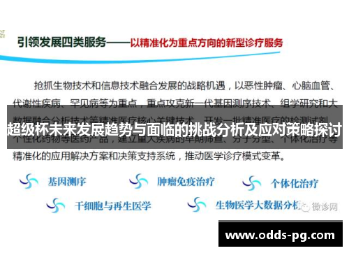 超级杯未来发展趋势与面临的挑战分析及应对策略探讨 超级杯未来发展趋势与面临的挑战分析及应对策略探讨
