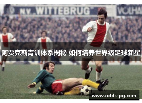 阿贾克斯青训体系揭秘 如何培养世界级足球新星