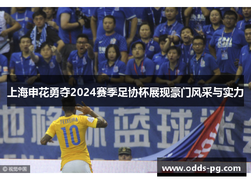 上海申花勇夺2024赛季足协杯展现豪门风采与实力