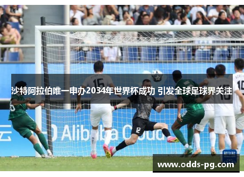 沙特阿拉伯唯一申办2034年世界杯成功 引发全球足球界关注