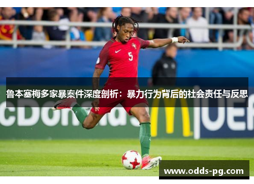 鲁本塞梅多家暴案件深度剖析：暴力行为背后的社会责任与反思