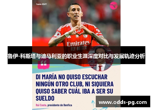 鲁伊-科斯塔与迪马利亚的职业生涯深度对比与发展轨迹分析