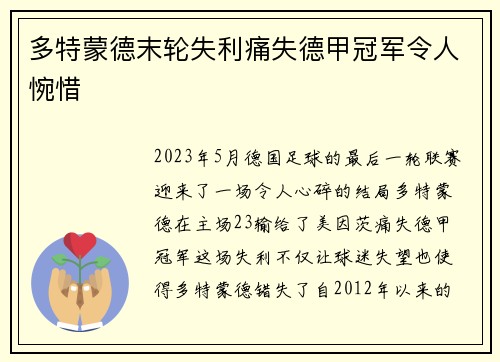 多特蒙德末轮失利痛失德甲冠军令人惋惜