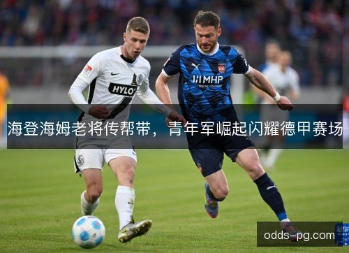 海登海姆老将传帮带,青年军崛起闪耀德甲赛场 海登海姆老将传帮带,青年军崛起闪耀德甲赛场