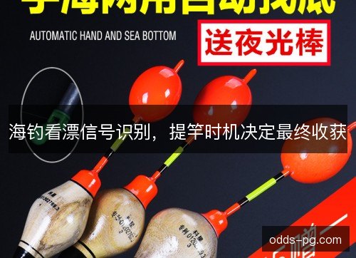 海钓看漂信号识别,提竿时机决定最终收获 海钓看漂信号识别,提竿时机决定最终收获